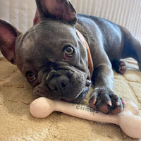 Chewy Chews Rubber Bone
