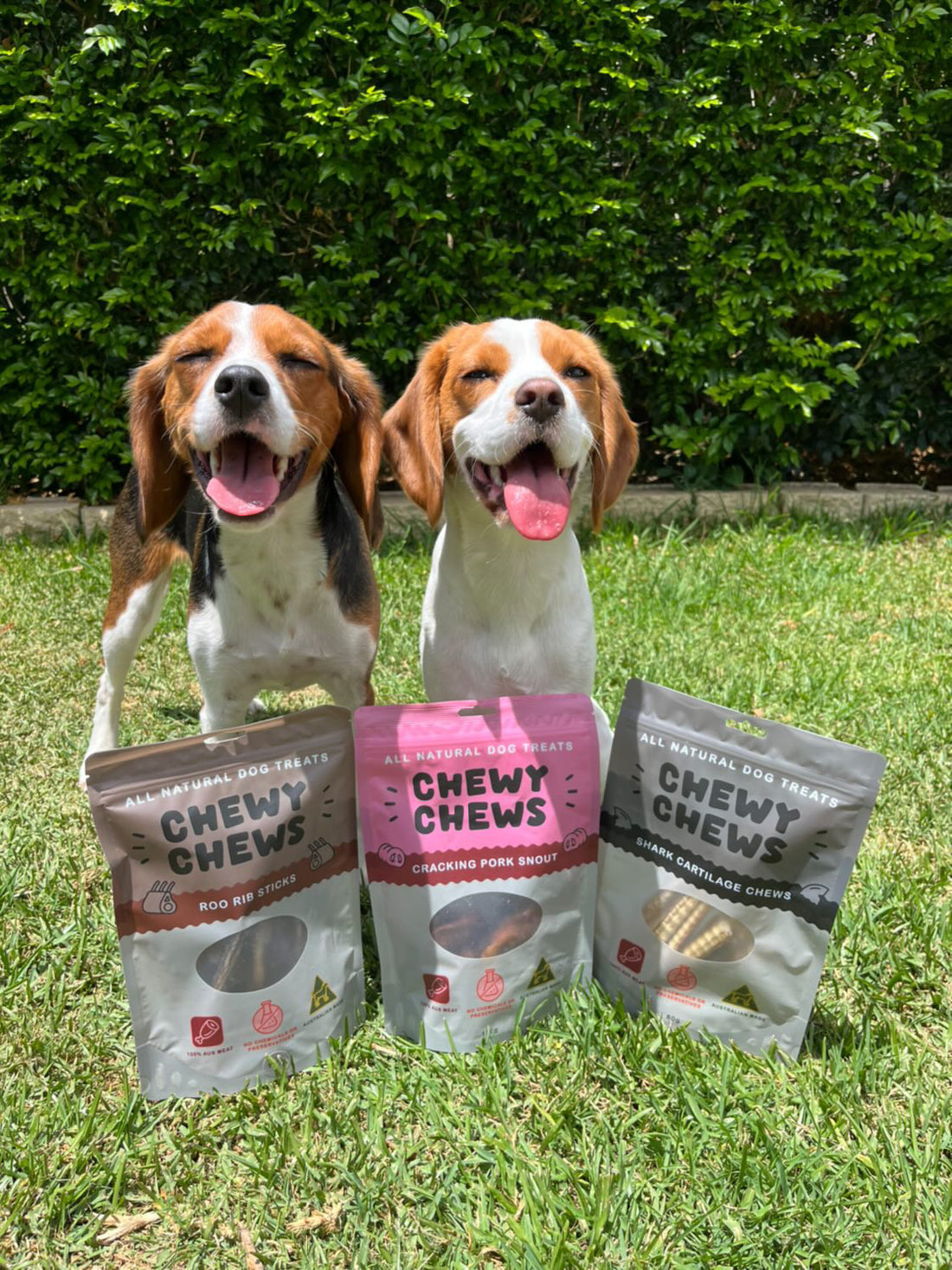 Long Lasting Treat Pack - Small to Medium Dogs