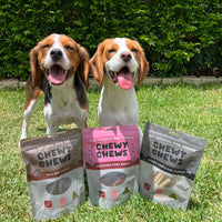 Long Lasting Treat Pack - Small to Medium Dogs