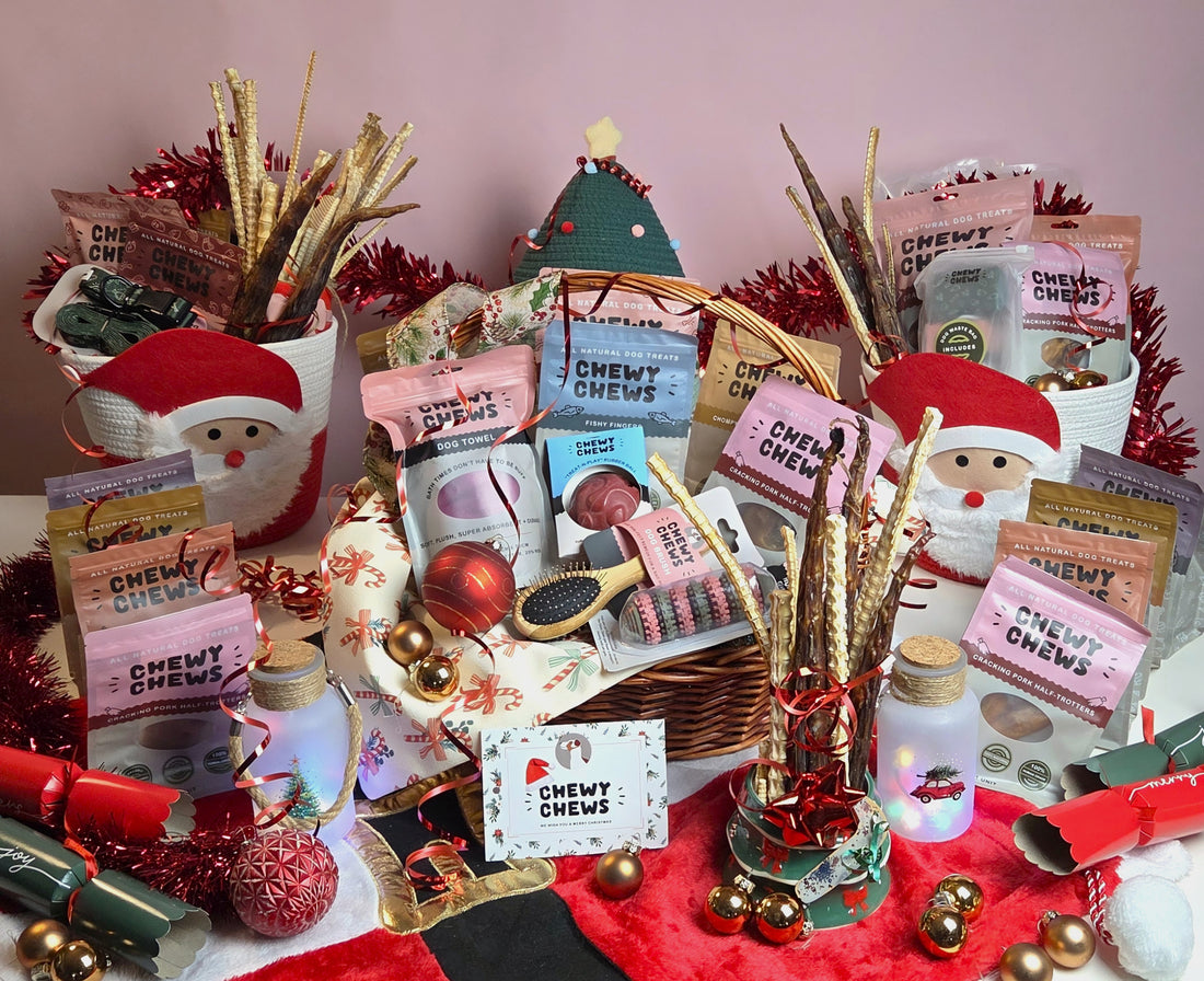 Chewylicious Santa Sack