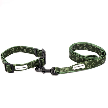 Dog Leash & Collar Set M-L