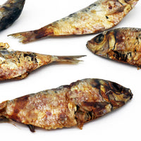 Fishy Sardine Treats
