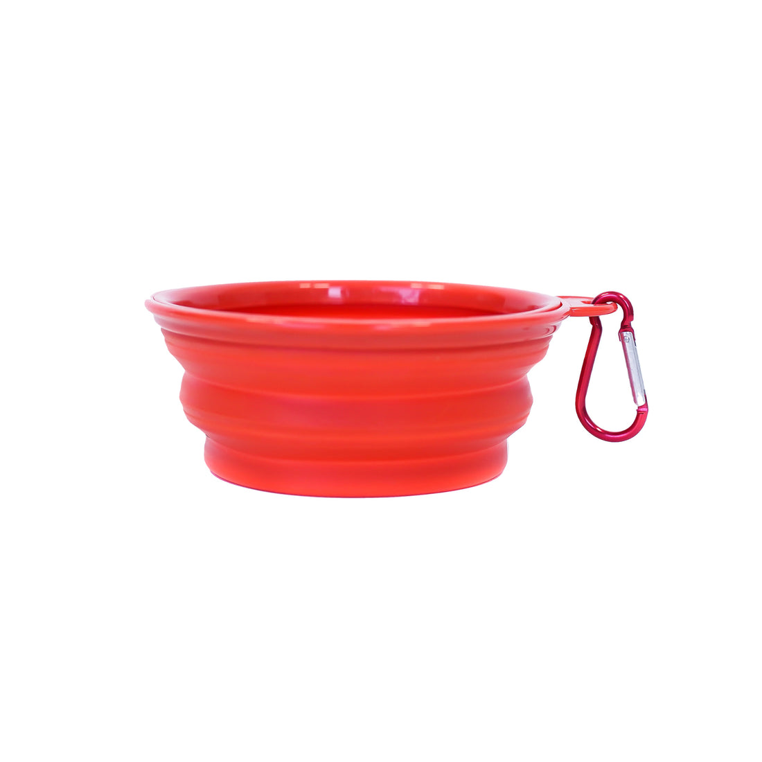 Collapsible On-The-Go Water & Food Bowl