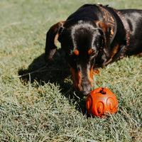 Chewy Chews "Treat-n-play" Rubber Ball