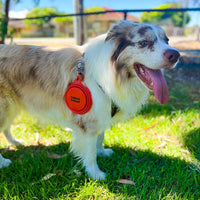 Collapsible On-The-Go Water & Food Bowl